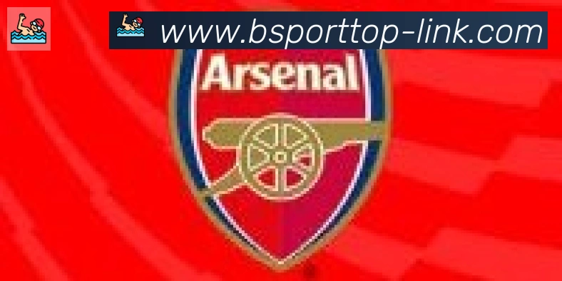 Bsports官网合作伙伴