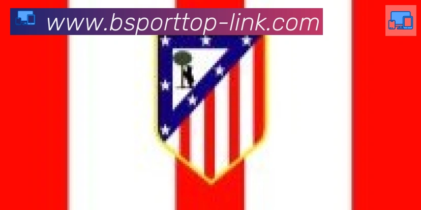 Bsports官网合作伙伴