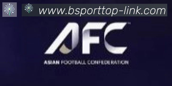 Bsports官网合作伙伴